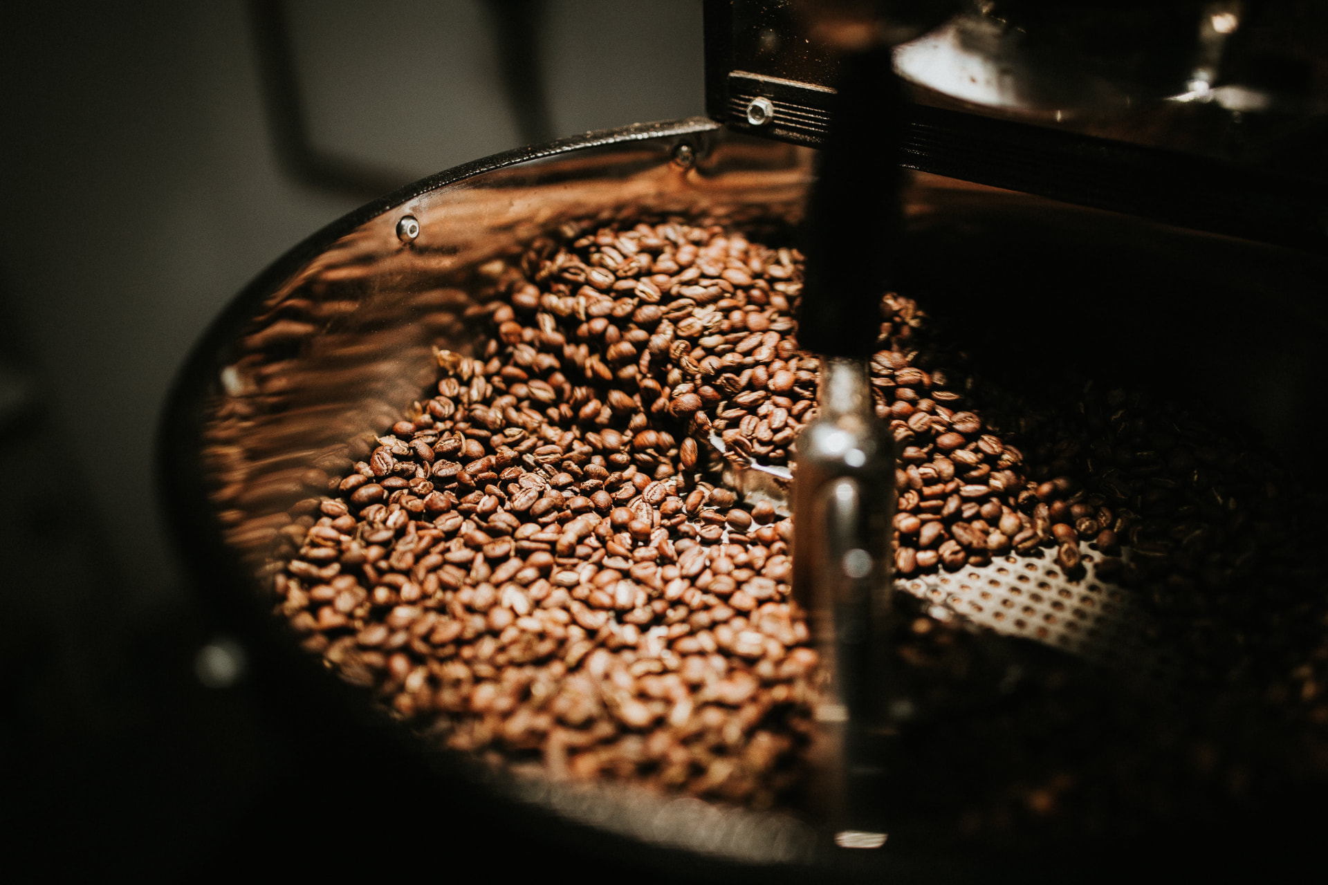 Freshly roasted coffee beans in a roaster