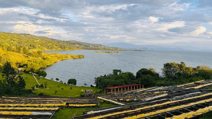 
 coffee origin in Rwanda